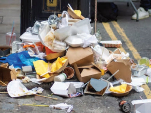 Waste Food Management